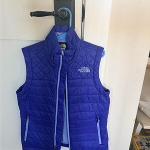 The North Face Blue Quilted Vest
